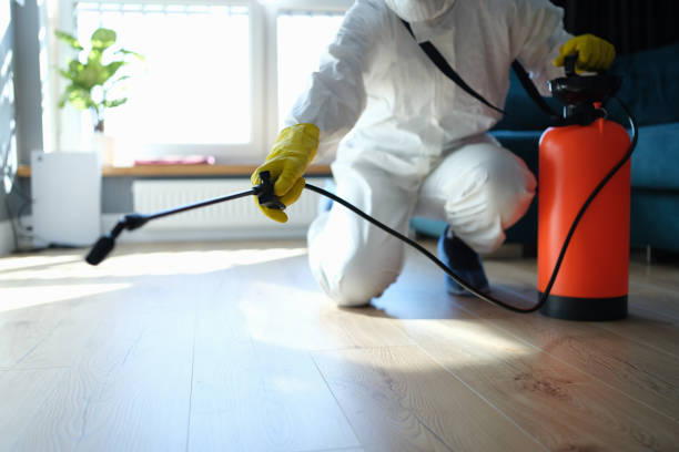 Reliable Hoarding Cleanup contractor in Morton, WA by Dulley Family Biohazard Services